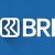 Deadline 7 Agustus 2024! BRI Buka Lowongan Kerja! Ini Syarat dan Link Pendaftarannya
